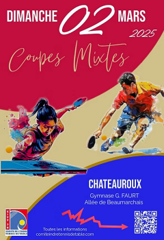 affiche_coupes_mixtes_2025_mini.png